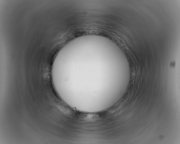 X0000096970663200802081253