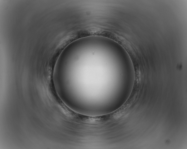 X0000096970664200802081253