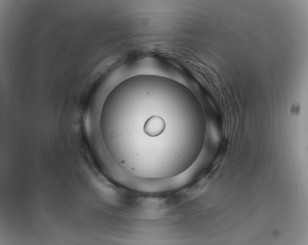 X0000096970665200802081253