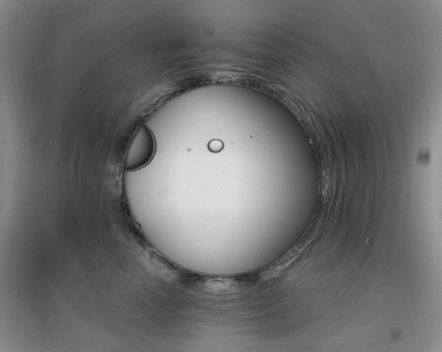 X0000096970666200802081253