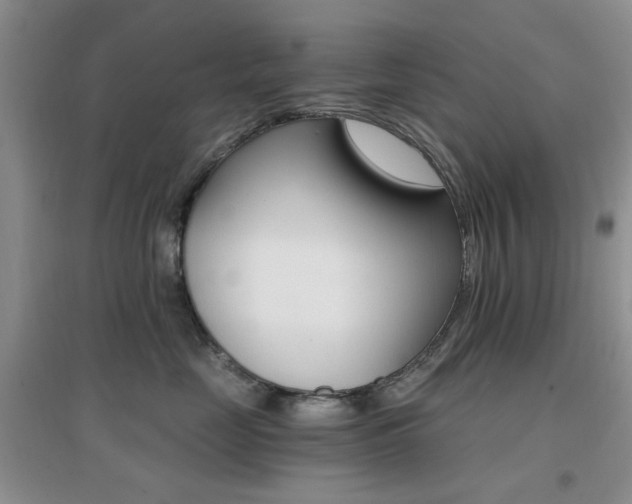 X0000096970669200802081253