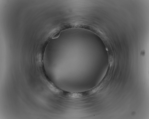 X0000096970670200802081253