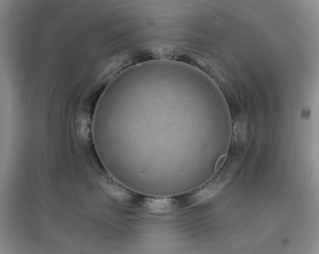 X0000096970671200802081253