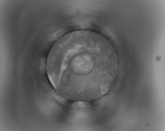 X0000096970672200802081253