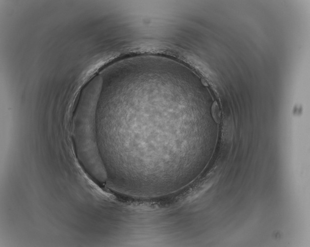 X0000096970673200802081253