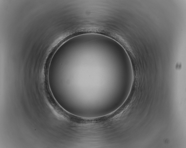X0000096970674200802081253