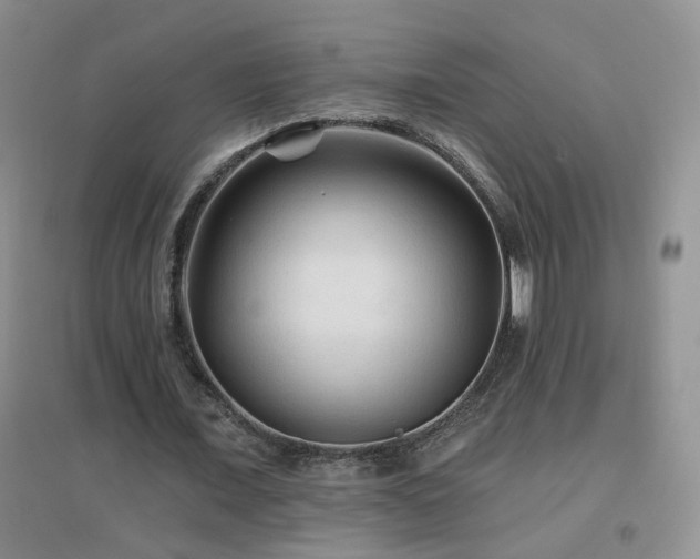 X0000096970675200802081253