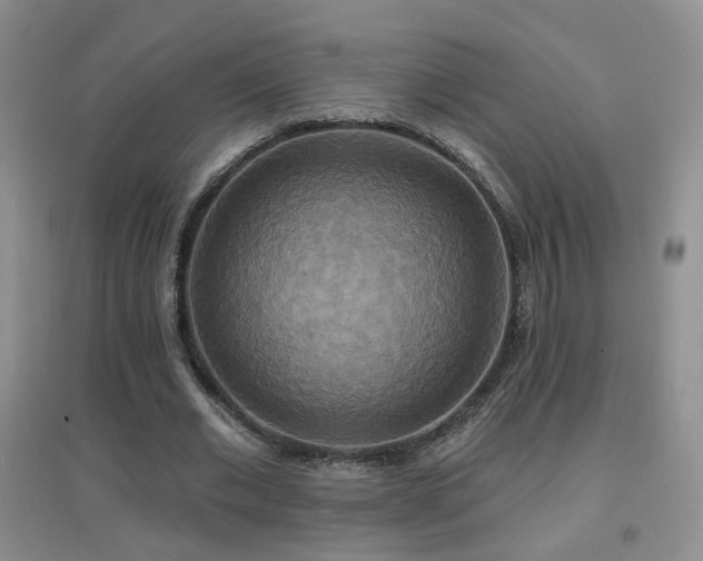 X0000096970677200802081253