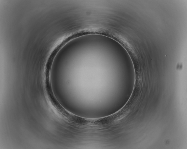 X0000096970678200802081253