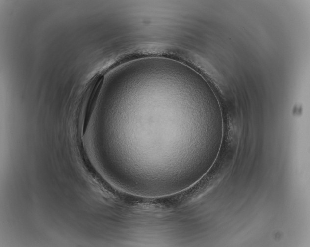 X0000096970681200802081253