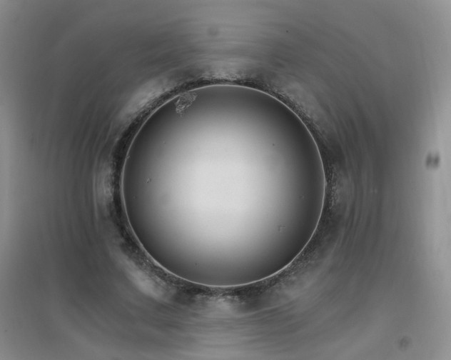 X0000096970683200802081253