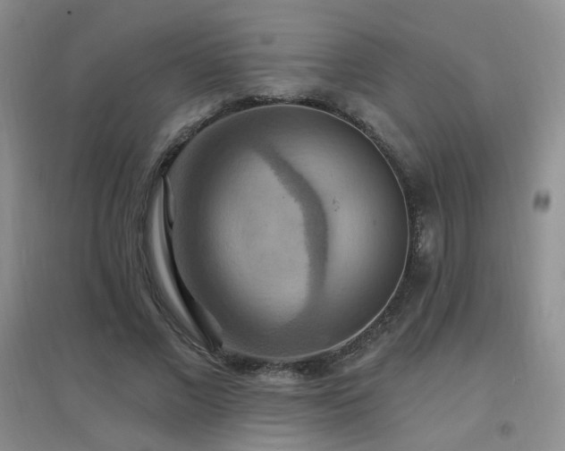 X0000096970685200802081253