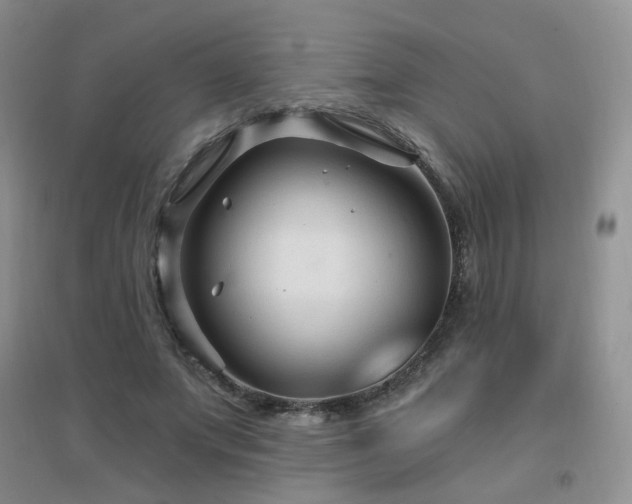 X0000096970687200802081253