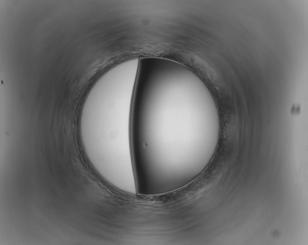X0000096970689200802081253