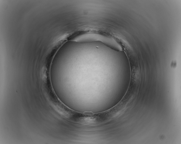 X0000096970692200802081252
