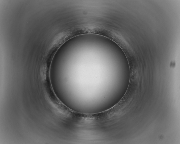 X0000096970694200802081252