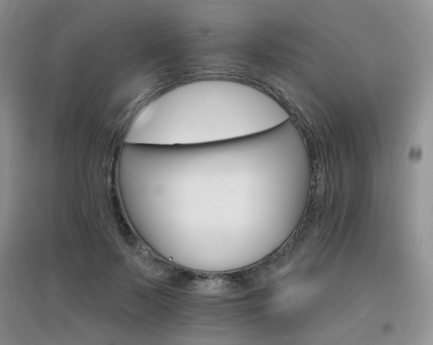 X0000096970695200802081252