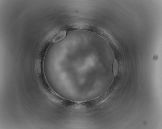X0000096970696200802081252