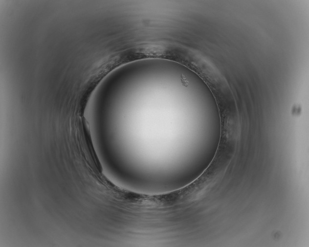 X0000096970697200802081252