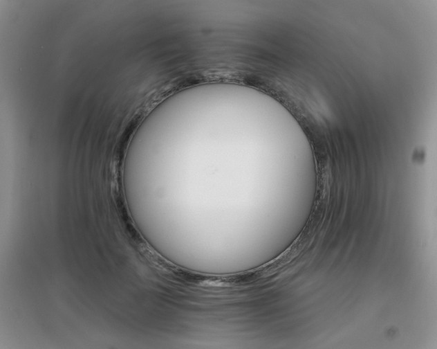 X0000096970699200802081252