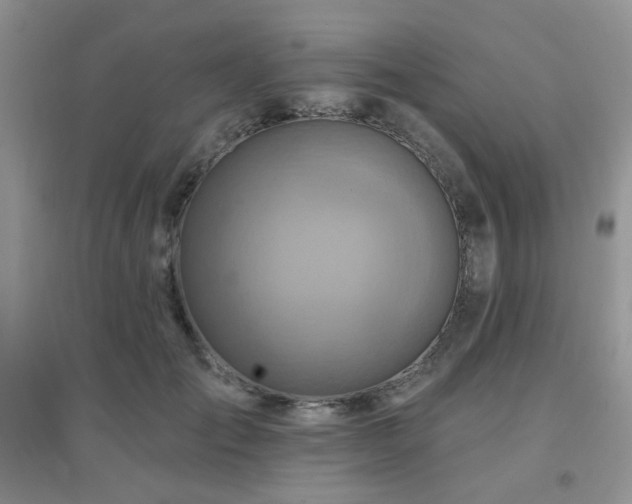 X0000096970701200802081252