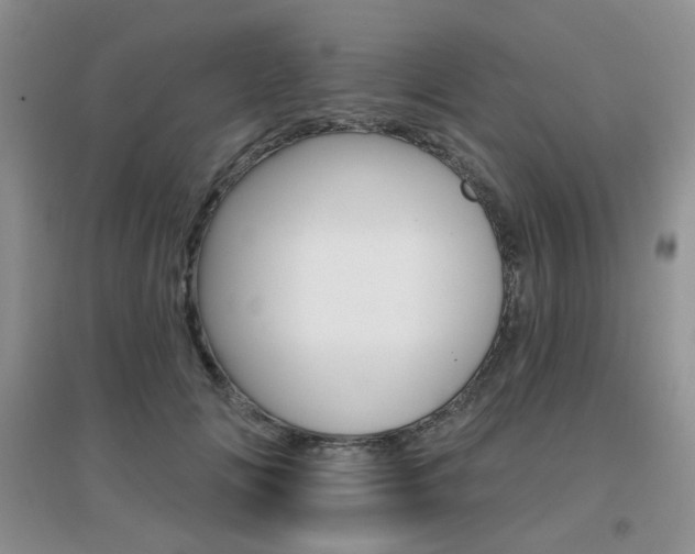 X0000096970702200802081252