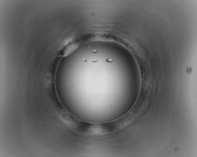 X0000096970704200802081252