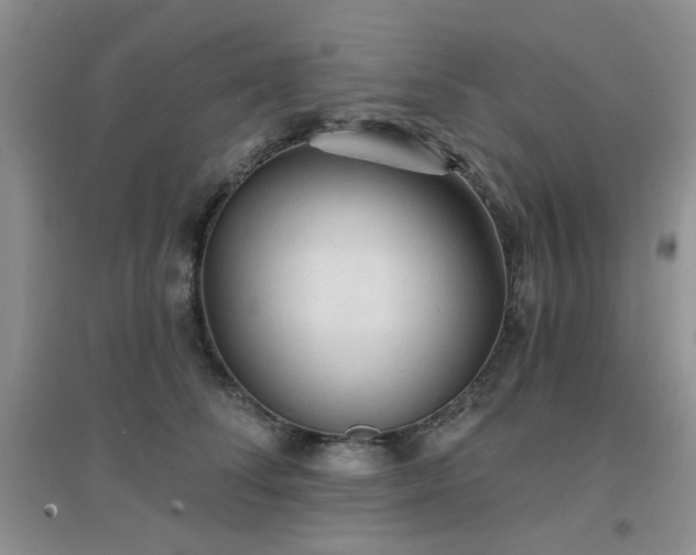 X0000096970708200802081252