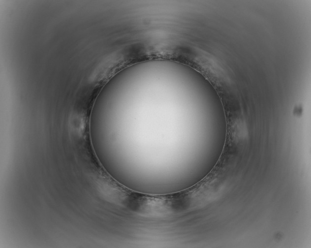 X0000096970709200802081252