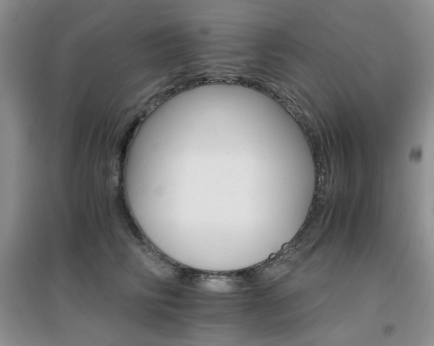 X0000096970710200802081252