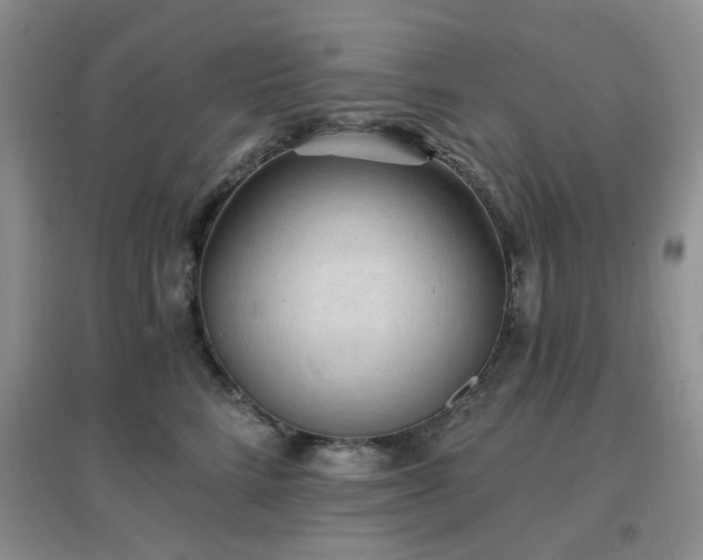 X0000096970712200802081252