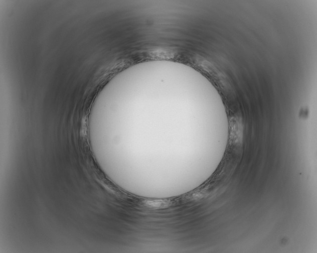 X0000096970713200802081252
