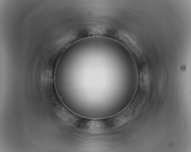 X0000096970714200802081252