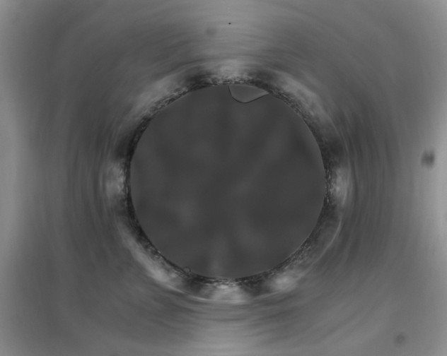 X0000096970715200802081252