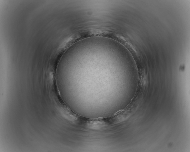 X0000096970716200802081252