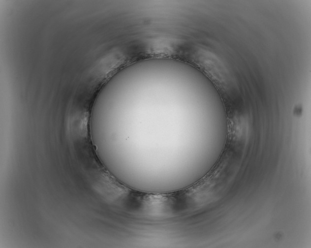 X0000096970717200802081252