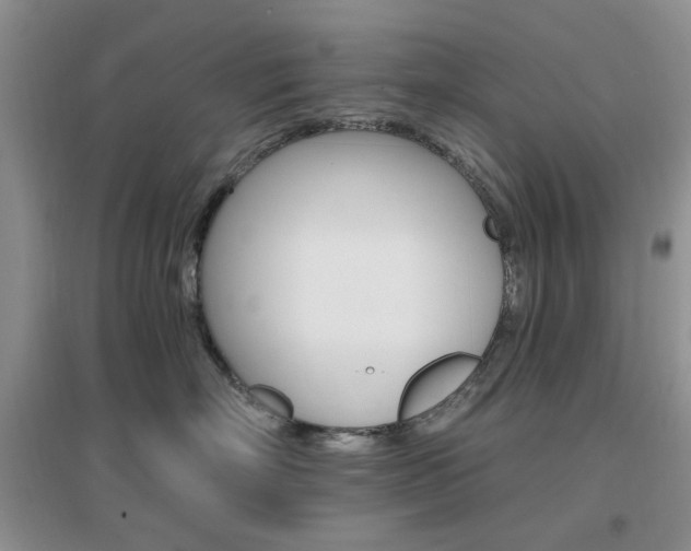 X0000096970718200802081252