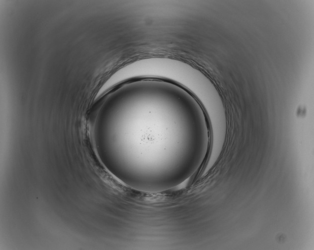 X0000096970720200802081252
