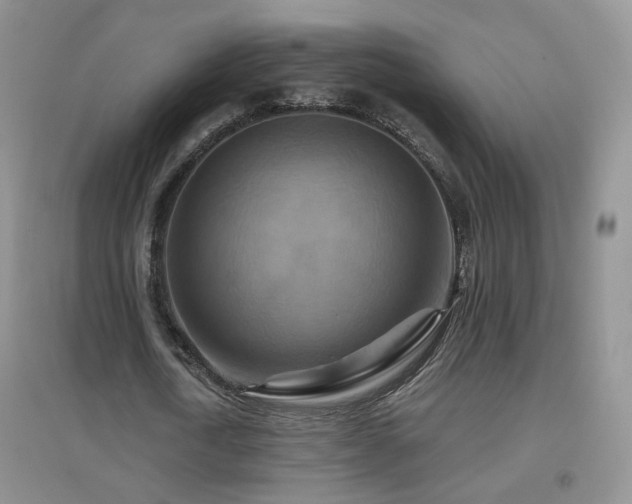 X0000096970722200802081251