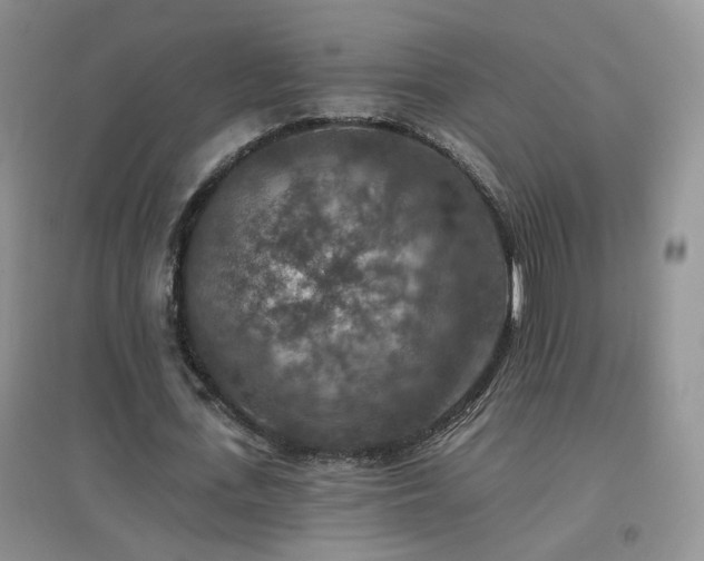 X0000096970723200802081251