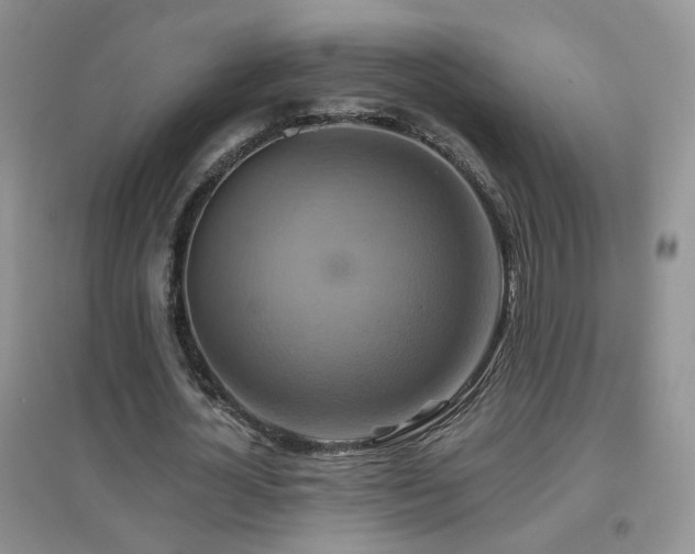 X0000096970724200802081251