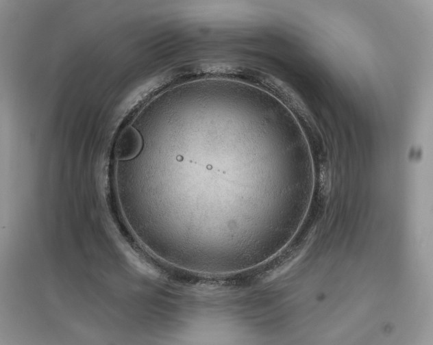 X0000096970725200802081251
