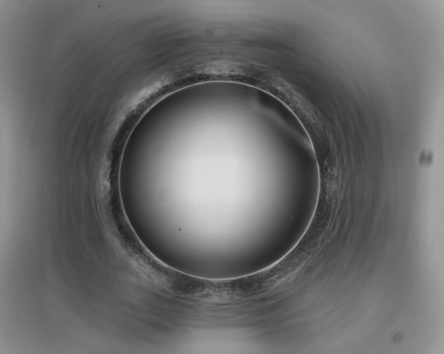 X0000096970727200802081251