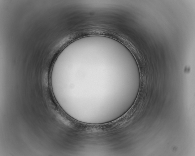 X0000096970729200802081252