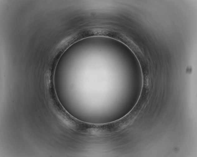 X0000096970733200802081252