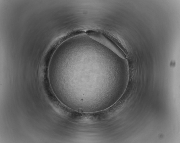 X0000096970736200802081252