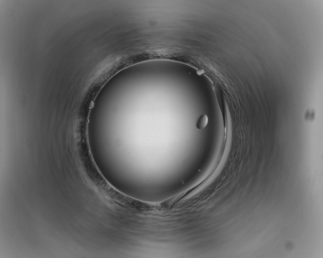 X0000096970738200802081252