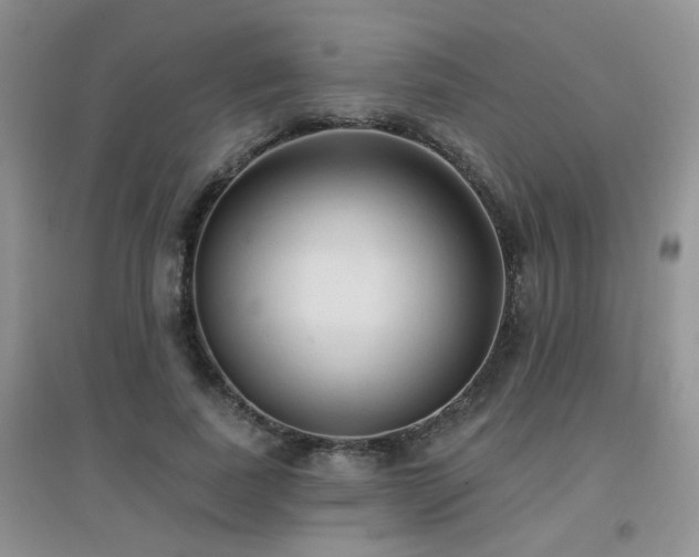 X0000096970739200802081252