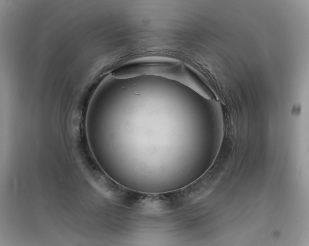 X0000096970742200802081252