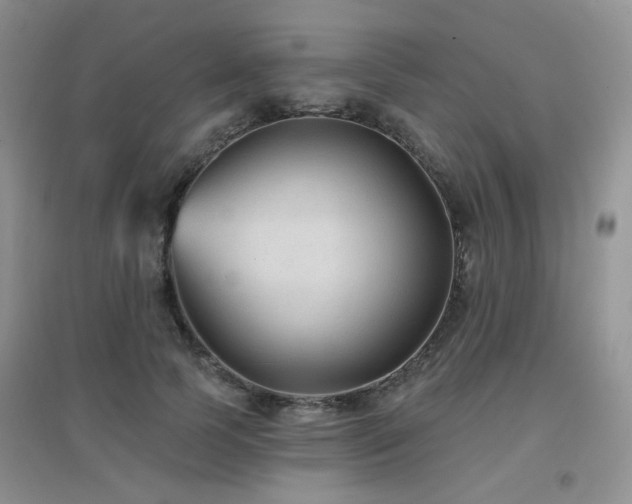 X0000096970745200802081252